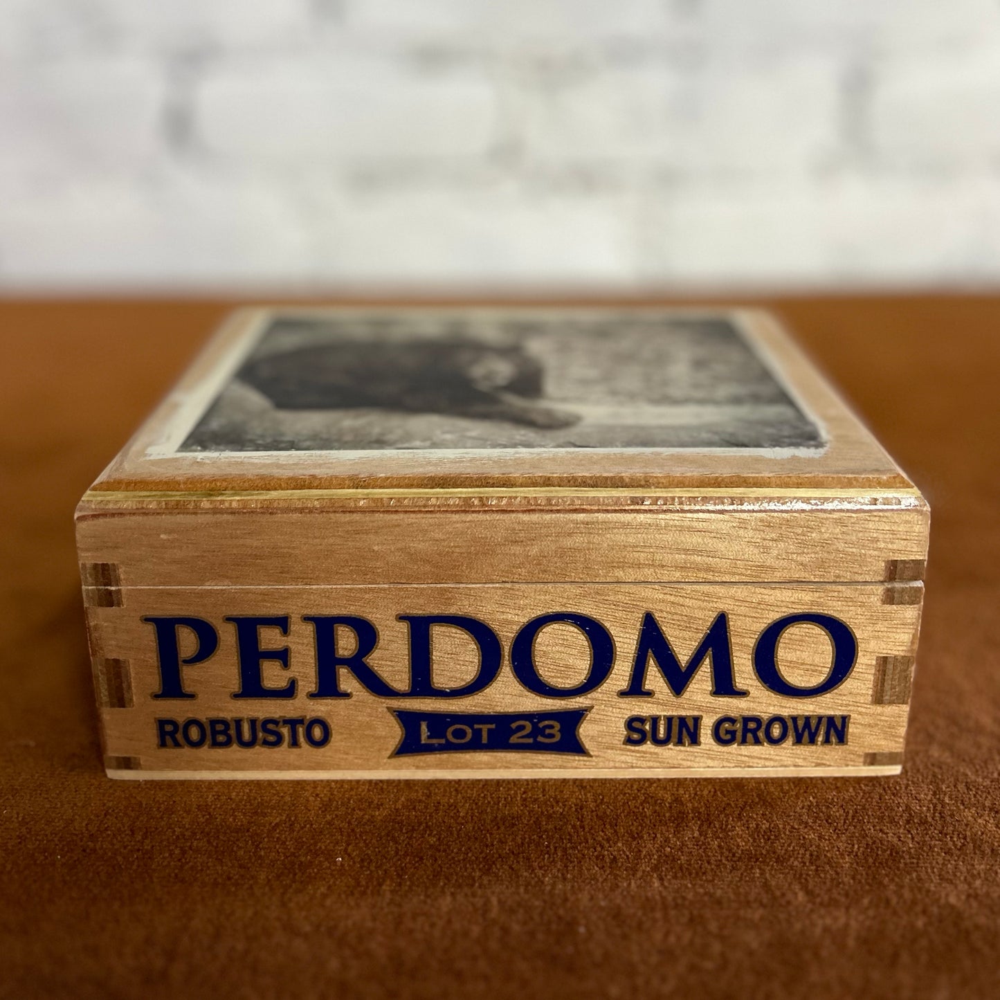 Bear Cigar Box
