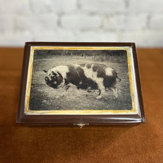 Pig Cigar Box