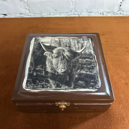 Scottish Highland Cow Cigar Box