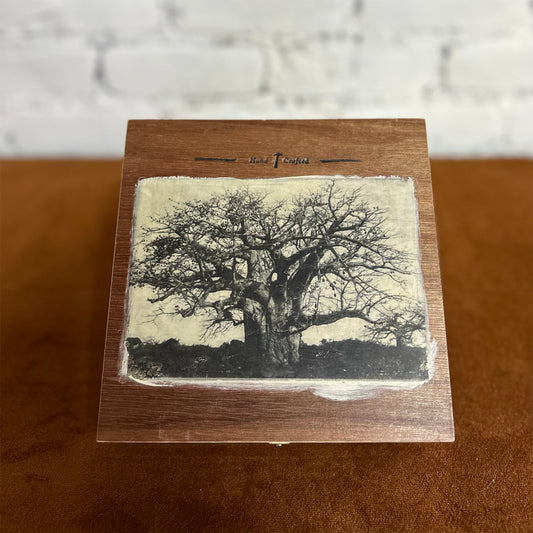 Baobab Tree Cigar Box