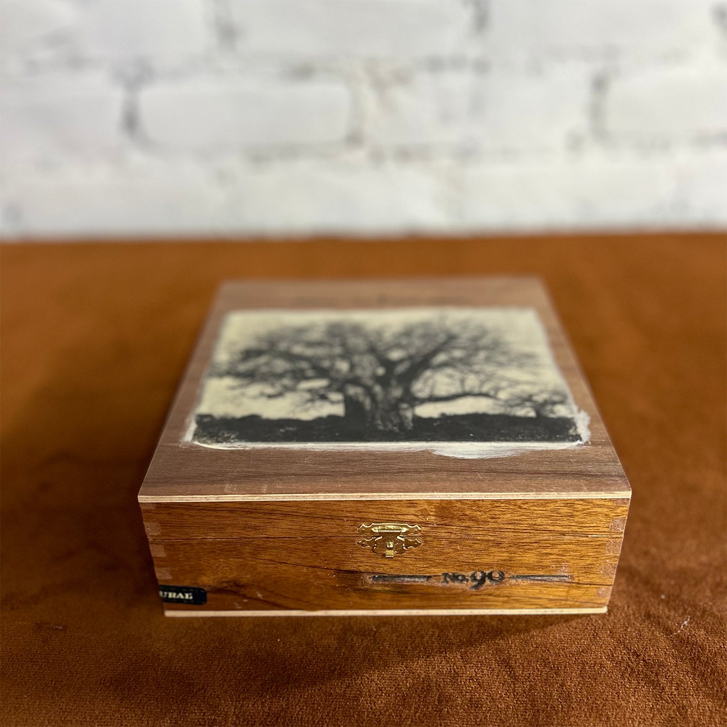 Baobab Tree Cigar Box