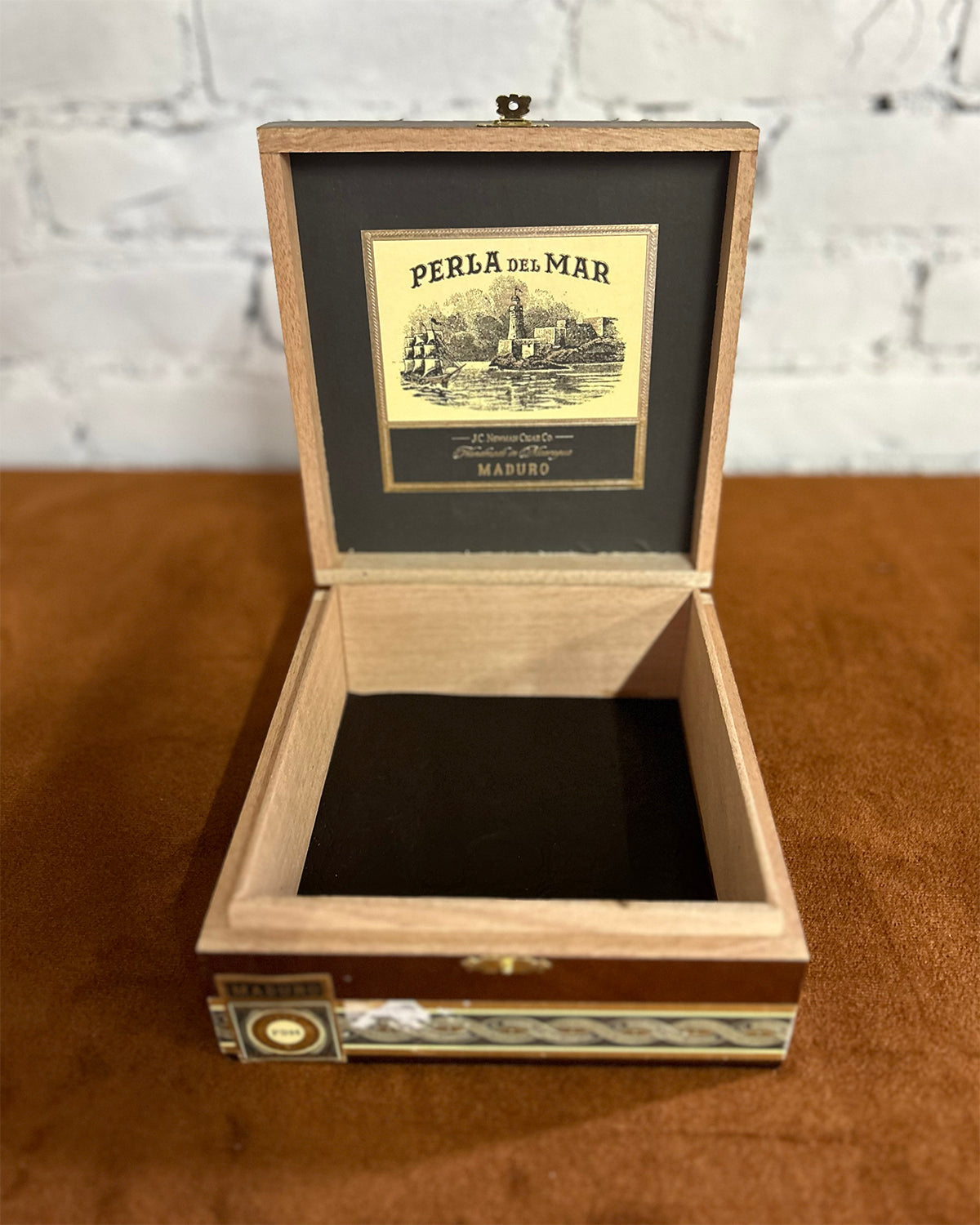 Beetle Cigar Box