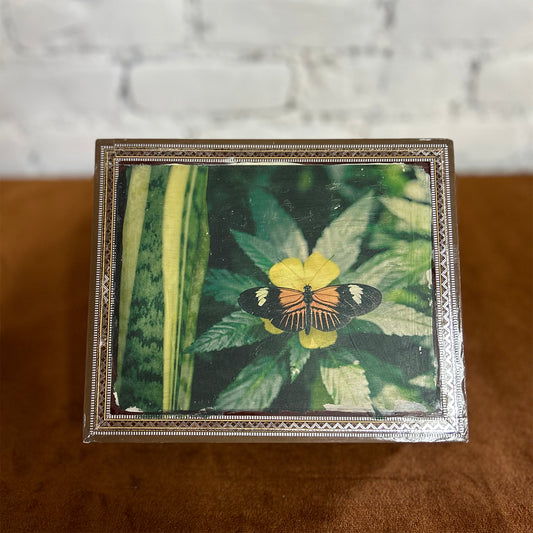 Butterfly Cigar Box