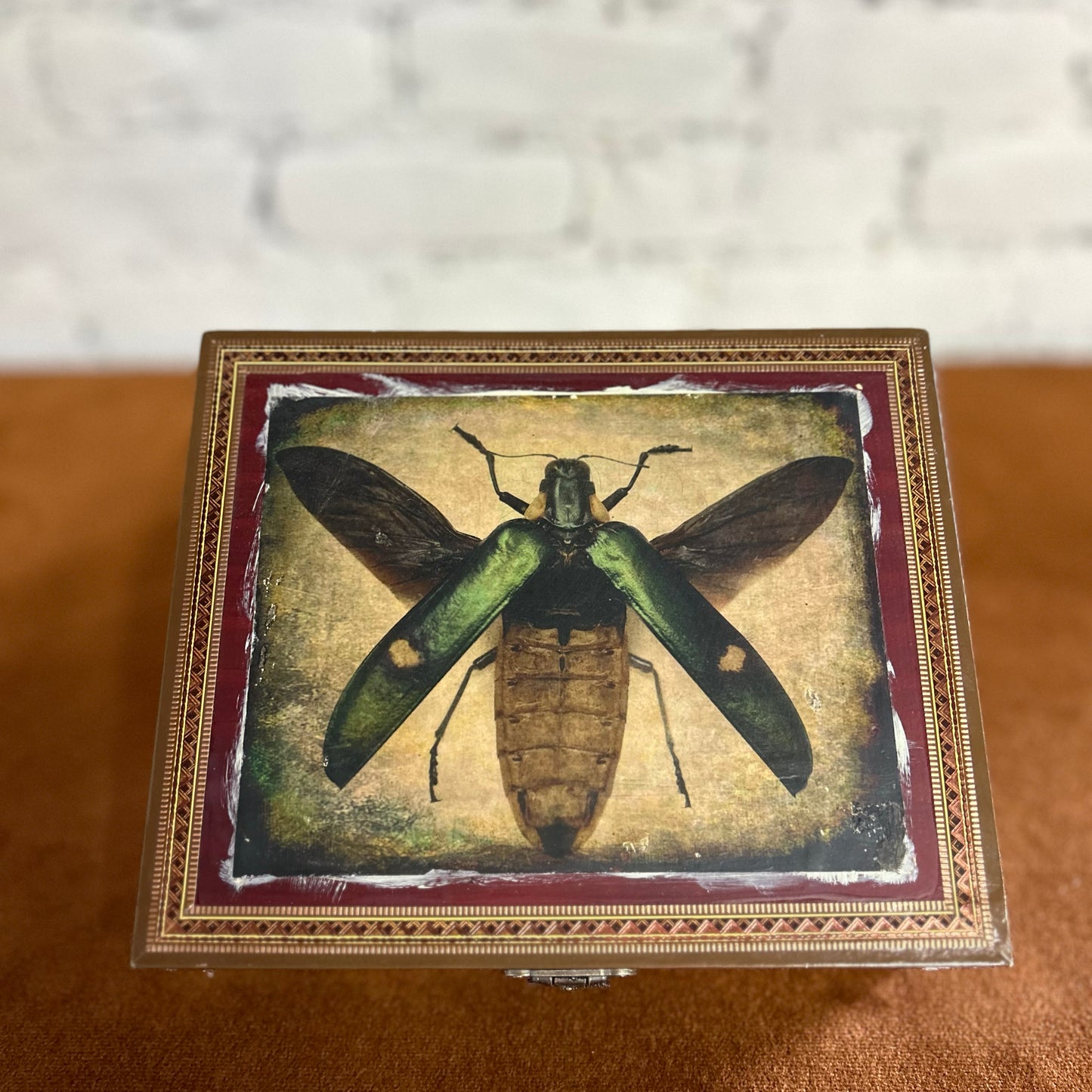 Bug Cigar Box