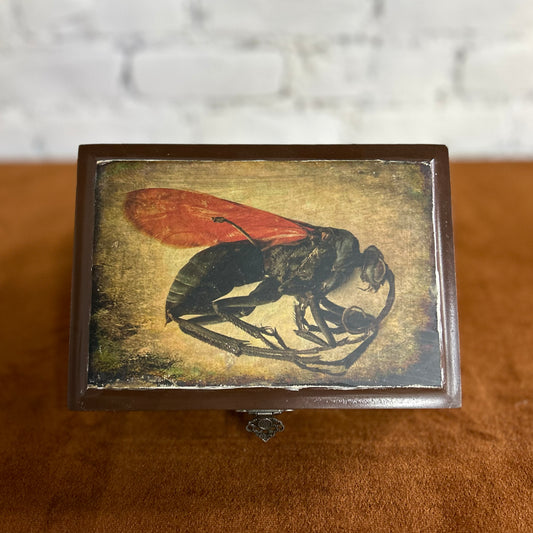 Wasp Cigar Box