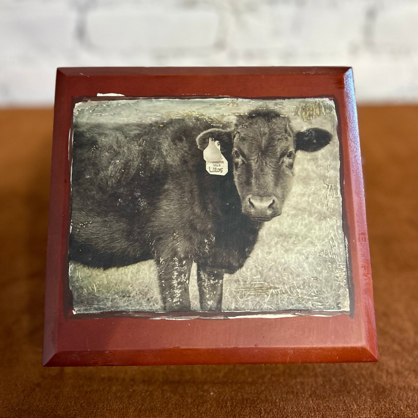 Cow Cigar Box